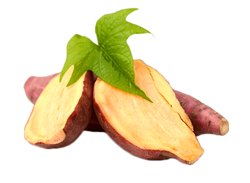 Raiz Yacon em Reduslim